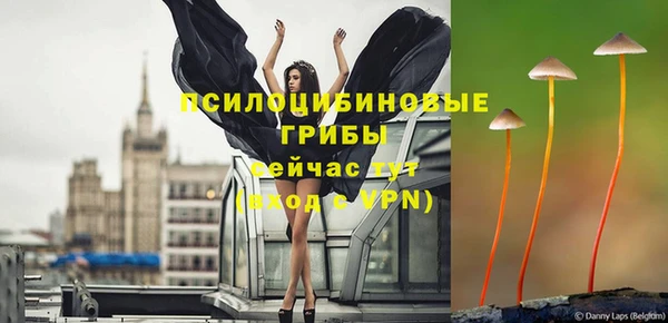 СК Абаза