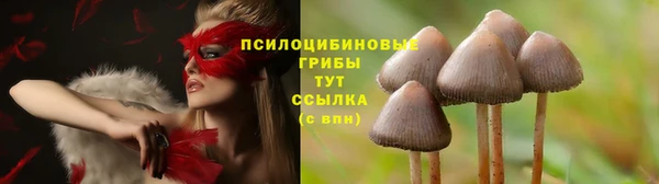 мескалин Абдулино