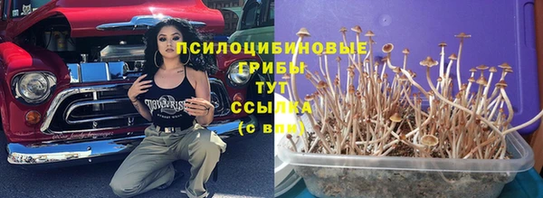 мескалин Абдулино
