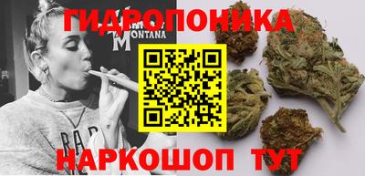 мдпв Рыбинск