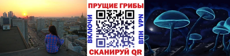 KRAKEN как зайти Сарапул Псилоцибиновые грибы Magic Shrooms