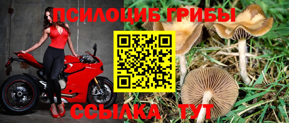 Галлюциногенные грибы мицелий  Псилоцибиновые грибы прущие грибы  Сарапул  Вход с VPN 