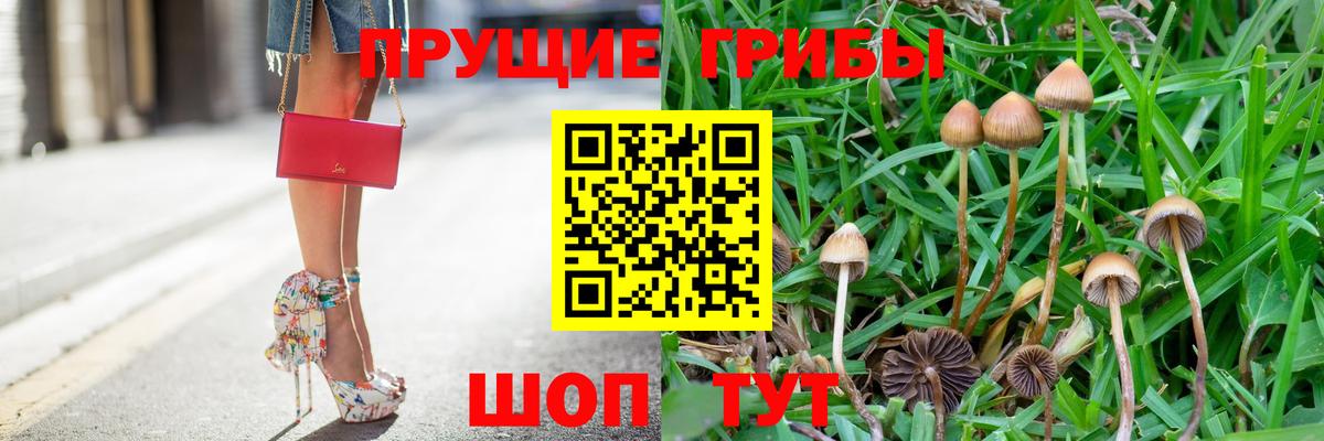 Псилоцибиновые грибы мицелий Сарапул